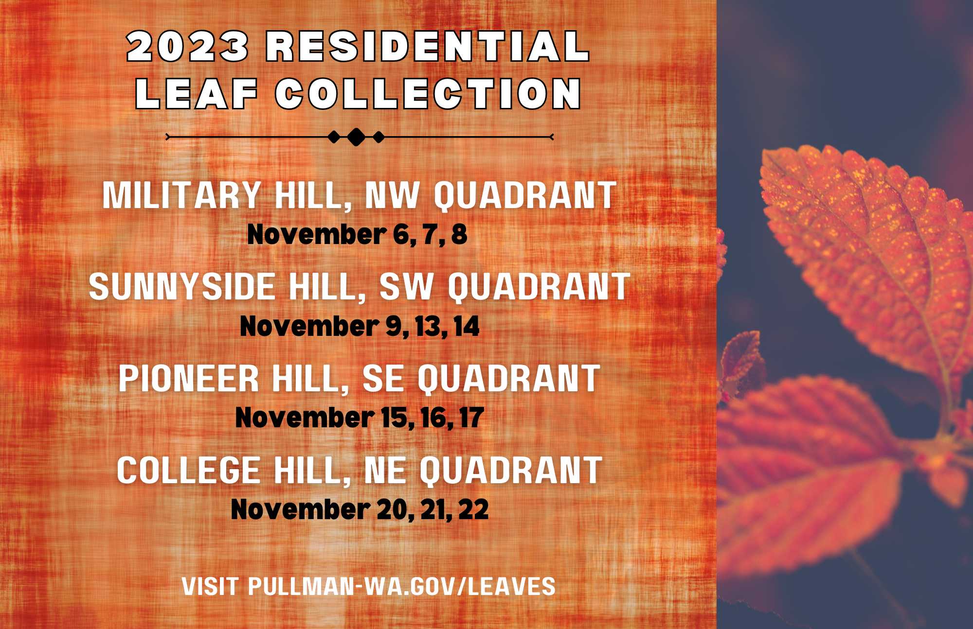 Copy of 2023LeafCollection 12 Flyer (1) - Copy